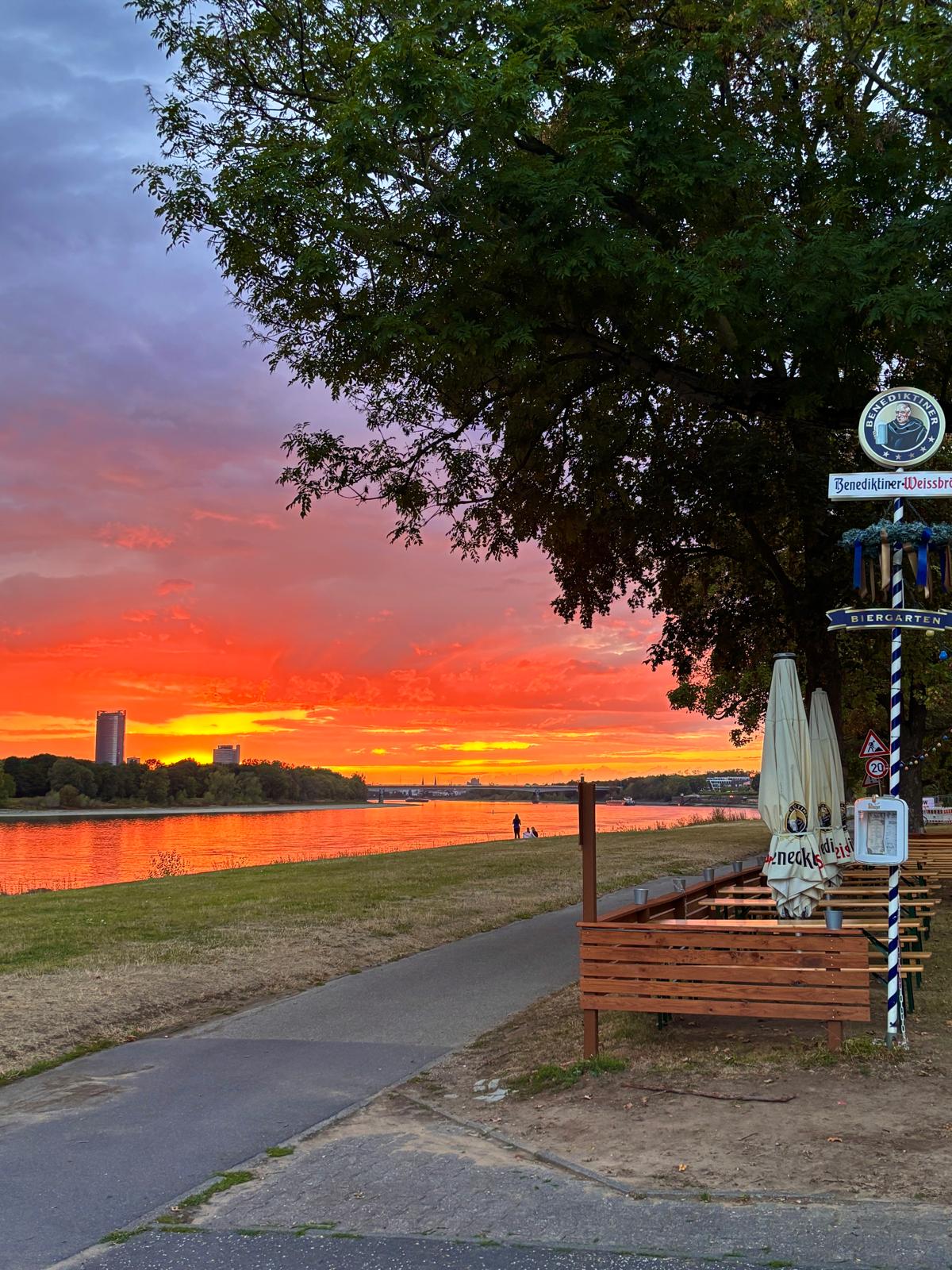 Leuchtender Sonnenuntergang am Rhein neben dem Biergarten
