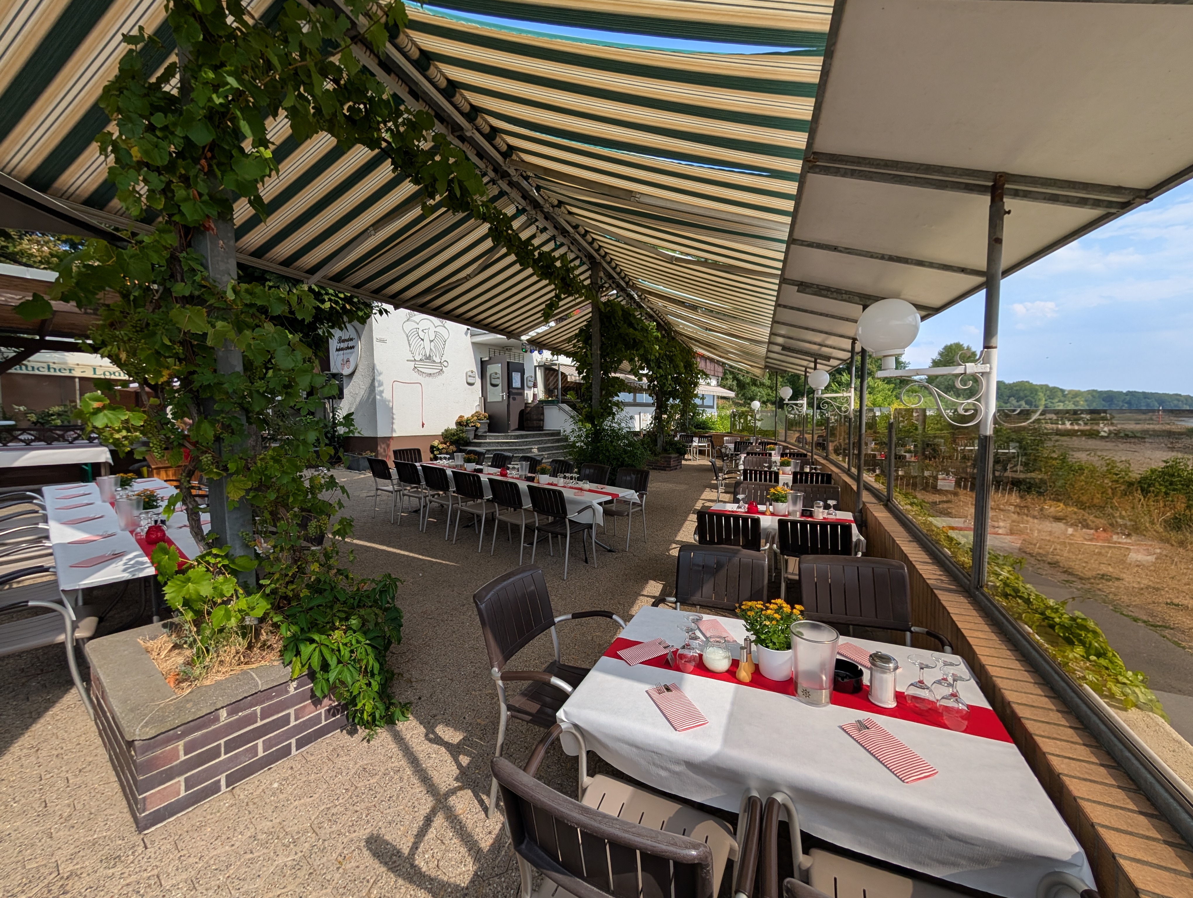 Gedeckte Rheinterrasse unter der begrünten Markise vor dem Restaurant