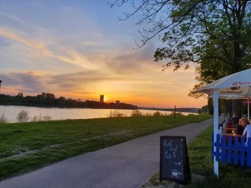 Am Rhein – Impression 2
