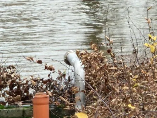 Hochwasser im Bundeshäuschen – Aufnahme aus unserem Archiv