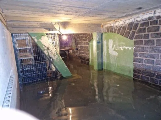 Hochwasser im Bundeshäuschen – Aufnahme aus unserem Archiv
